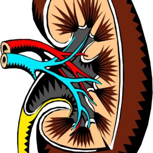 Kidney Problems After Prostate Surgery